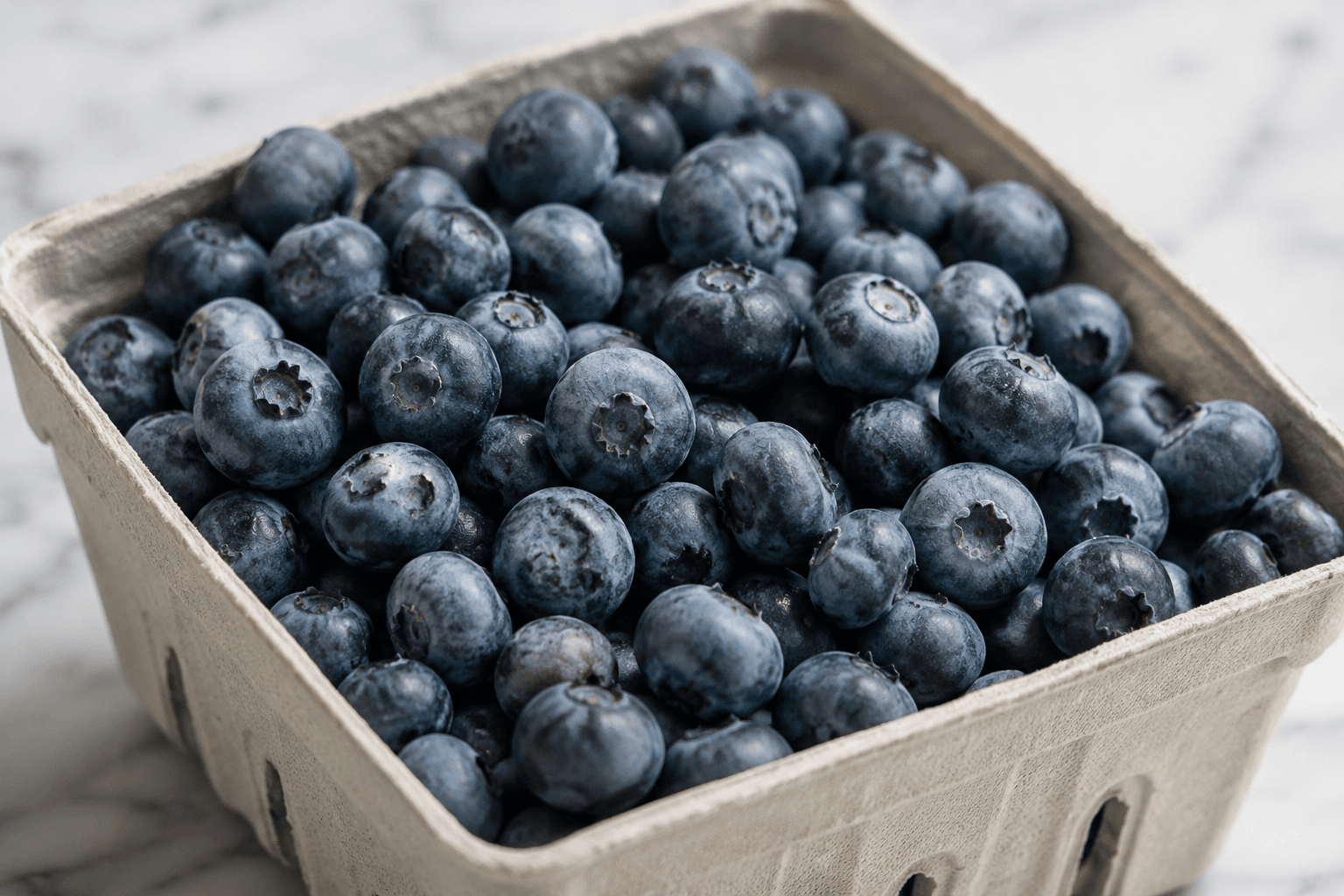 Representative photograph of fresh blueberries used in this demonstration